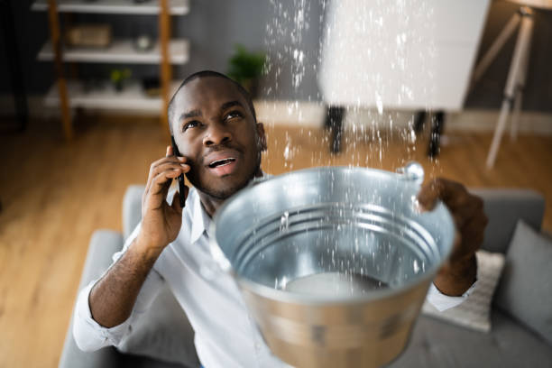 Best Professional water damage repair  in New Hampton, IA