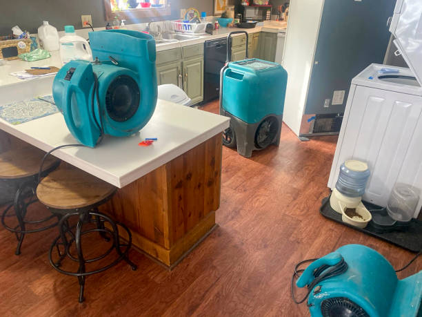 Best Flood damage cleanup  in New Hampton, IA