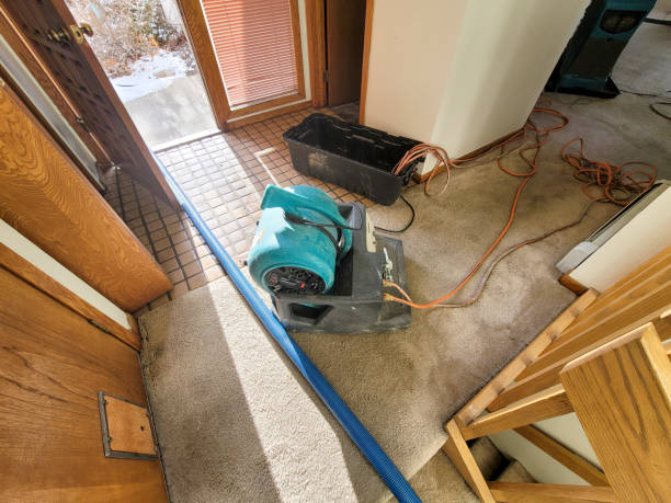Best Mold removal after water damage  in New Hampton, IA