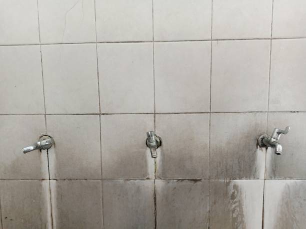 Best Ceiling water damage repair  in New Hampton, IA