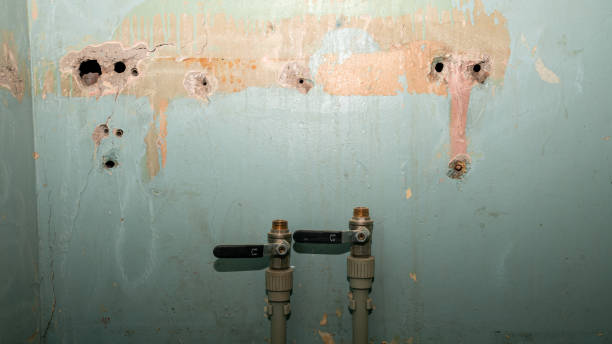 Best Fire Damage Restoration  in New Hampton, IA
