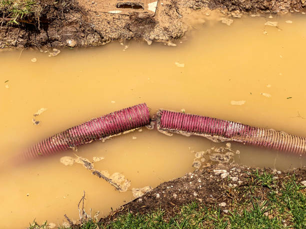 Best Water damage repair service  in New Hampton, IA