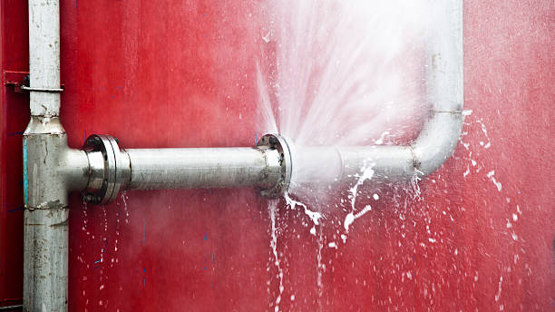 Best Basement water damage restoration  in New Hampton, IA